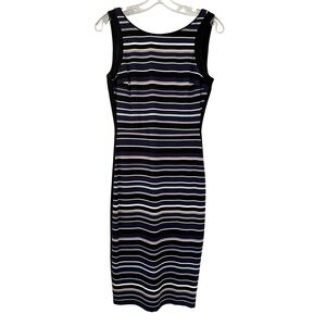 White House Black Market Size 2 Sleeveless Multicolor Striped Stretch Midi Dress